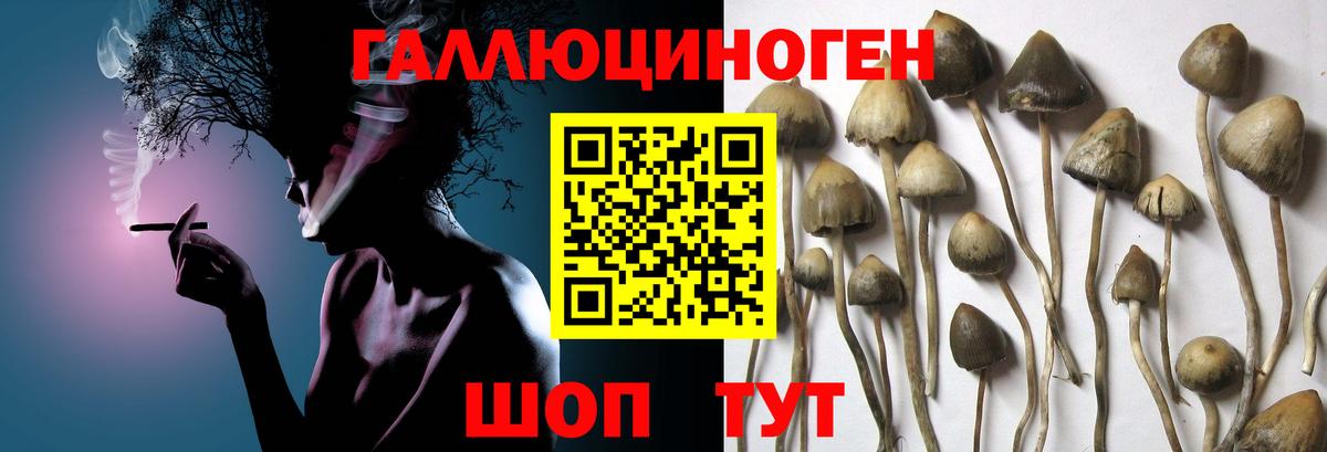 Галлюциногенные грибы Cubensis  Вход с VPN  Владикавказ  что такое   Галлюциногенные грибы MAGIC MUSHROOMS 