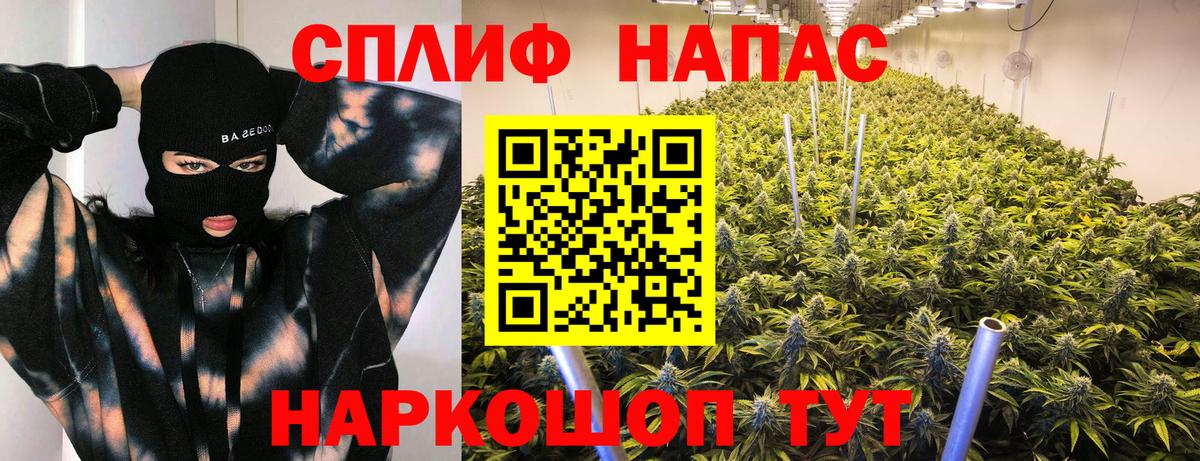 Бошки Шишки планчик Владикавказ
